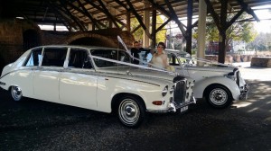 Queen Limousine 7 seater